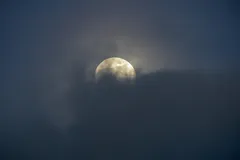 00001